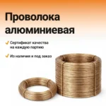 Бронза — provoloka (студия 2026)